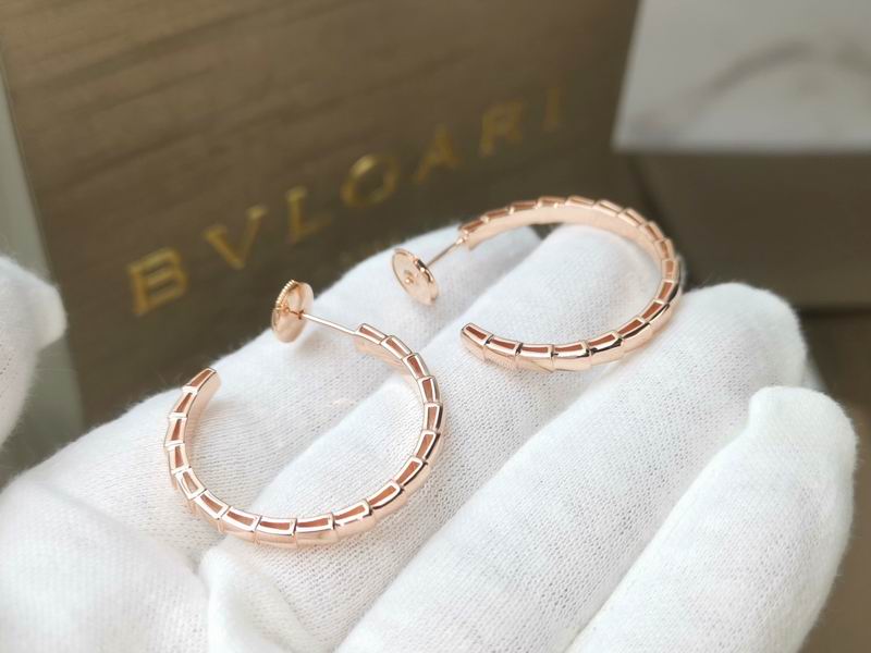 Bvlgari Earring 03yxs22 (9)