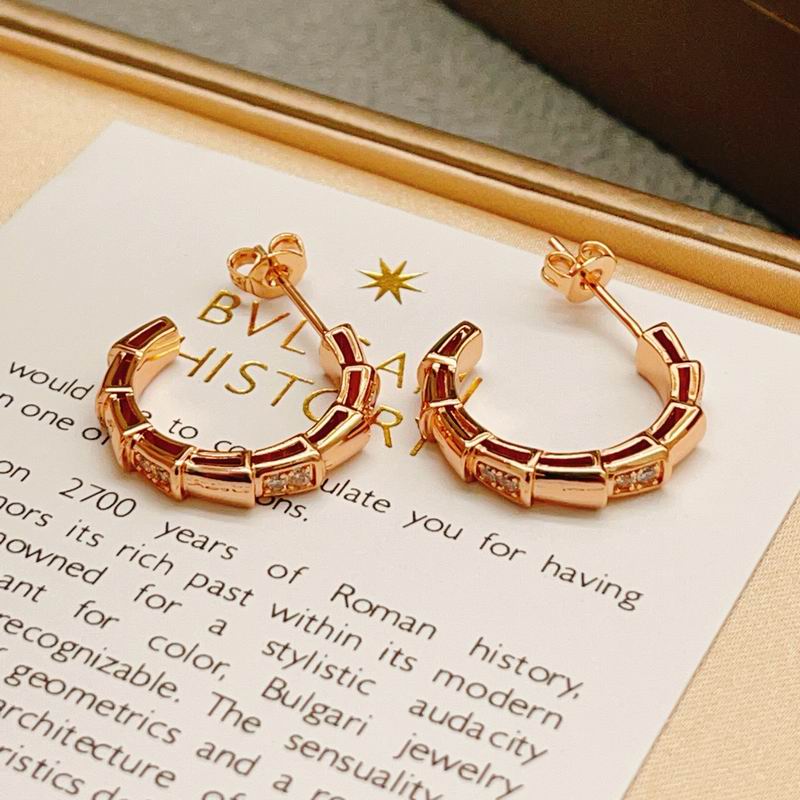 Bvlgari Earring 04yxs15 (11)