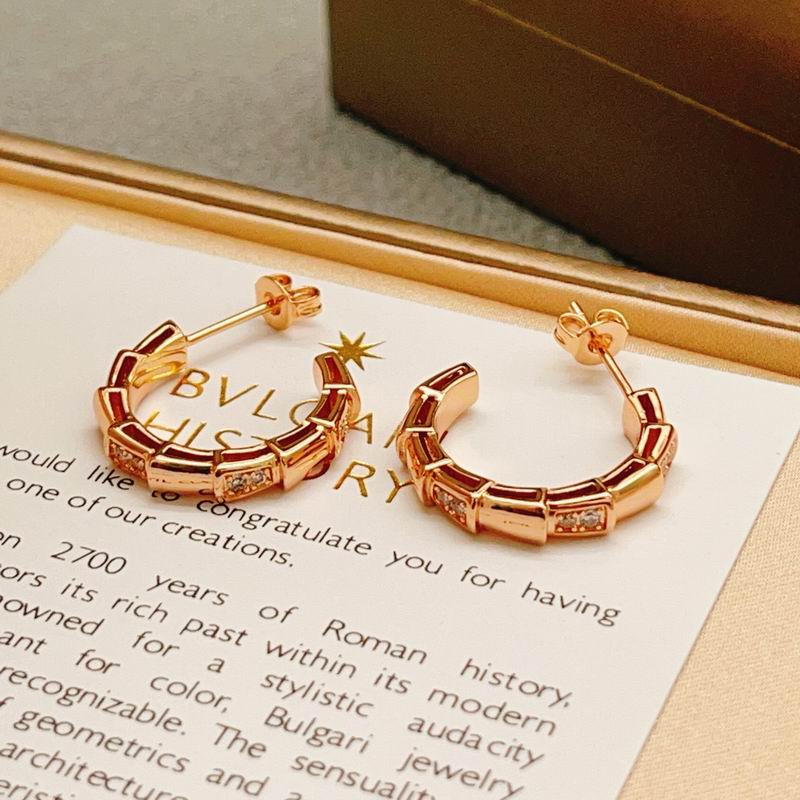 Bvlgari Earring 04yxs15 (14)
