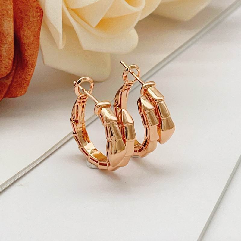 Bvlgari Earring 05yxs06 (13)