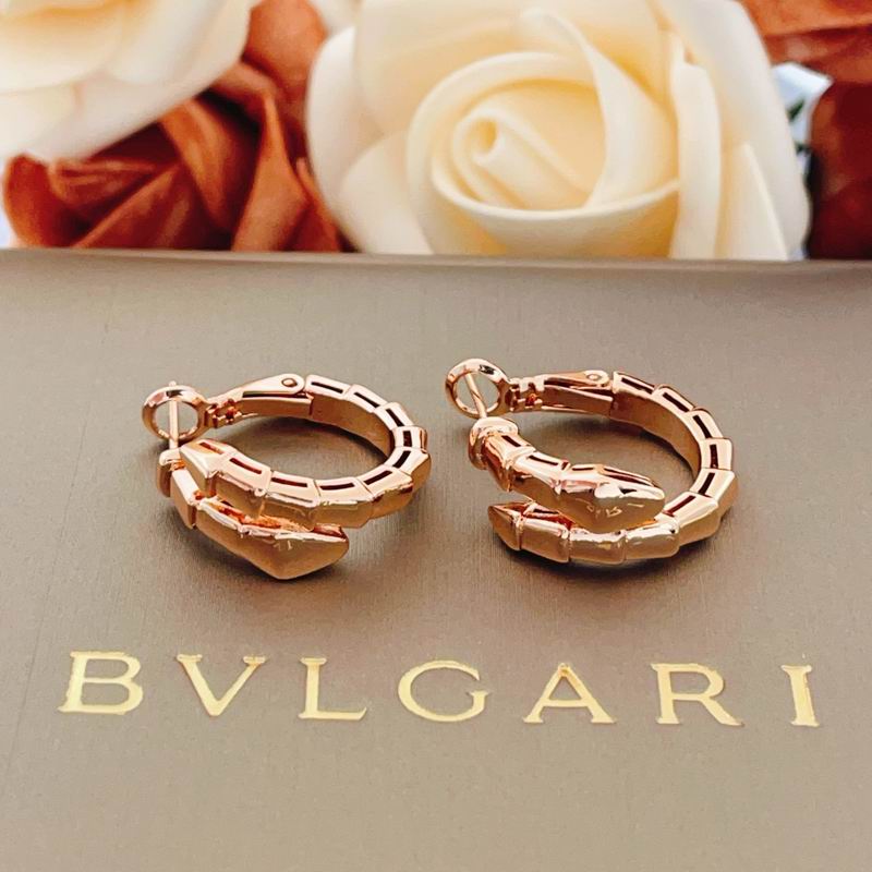 Bvlgari Earring 05yxs06 (14)