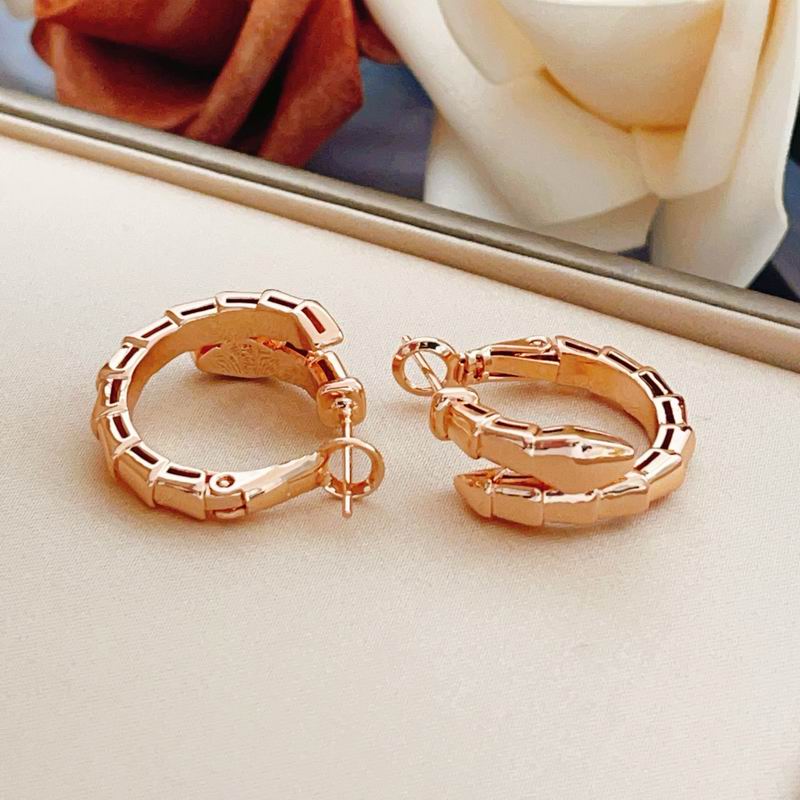 Bvlgari Earring 05yxs06 (18)