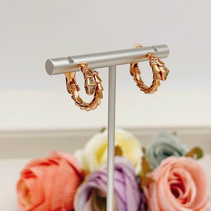 Bvlgari Earring 05yxs21 (12)