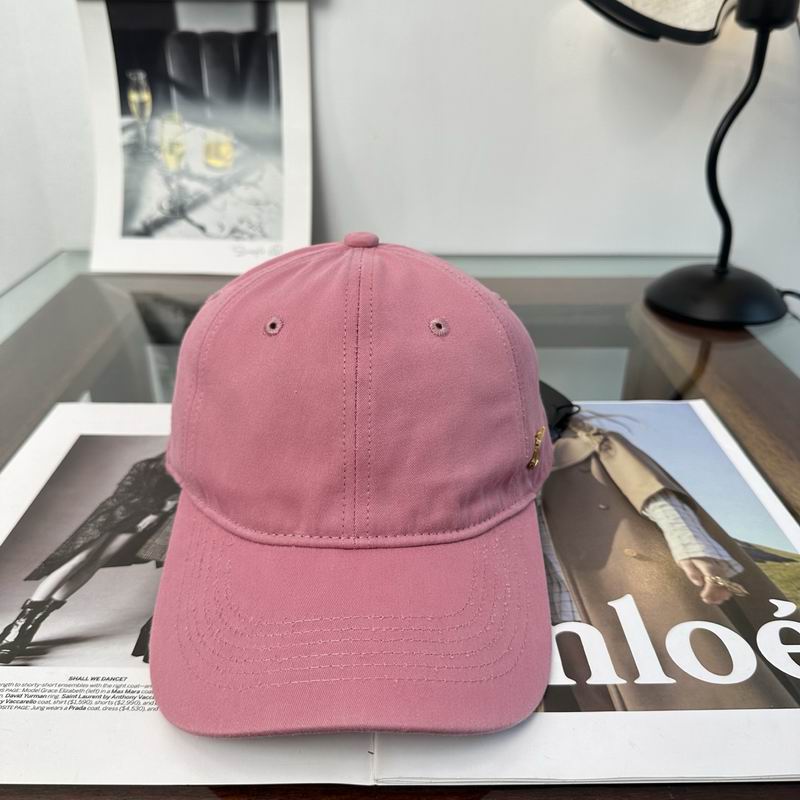 CHanel Cap dx (462)