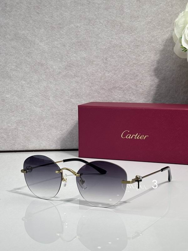 Cartier CT0376O 55 19 135 c05