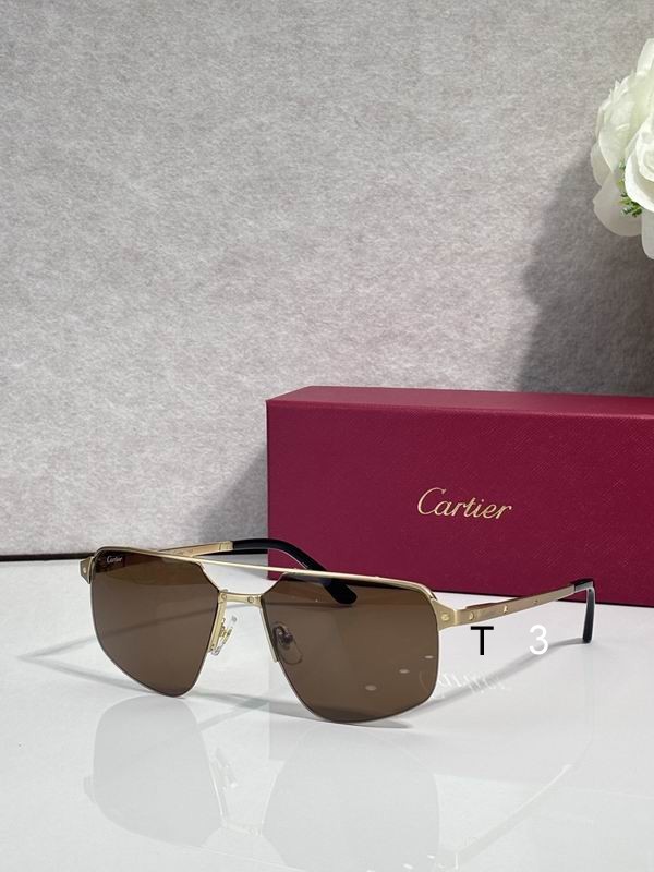 Cartier CT0385S 60 15 140 c03