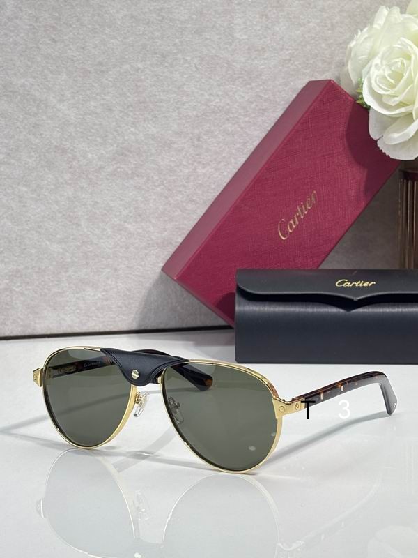 Cartier CT0495S 58 19-145 C04