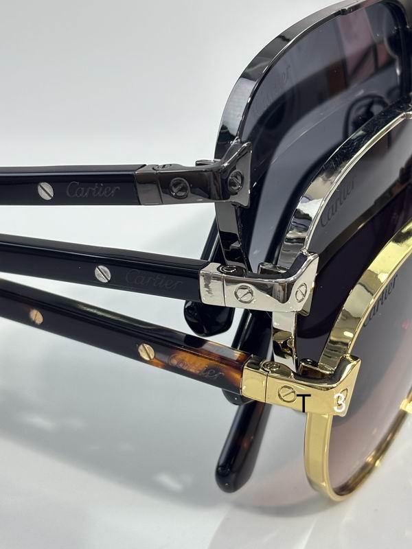 Cartier CT0495S 58 19-145 C09