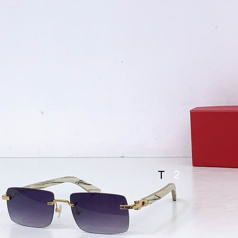 Cartier CT0579S 57 18-145 B07