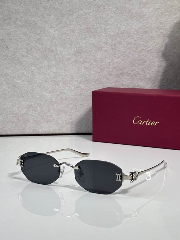 Cartier CT0654S 55 19-135 C03