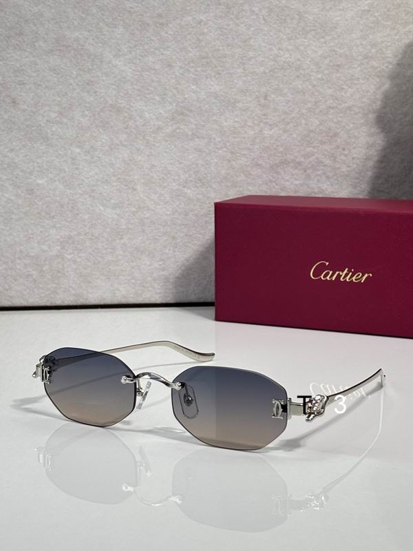 Cartier CT0654S 55 19-135 C05