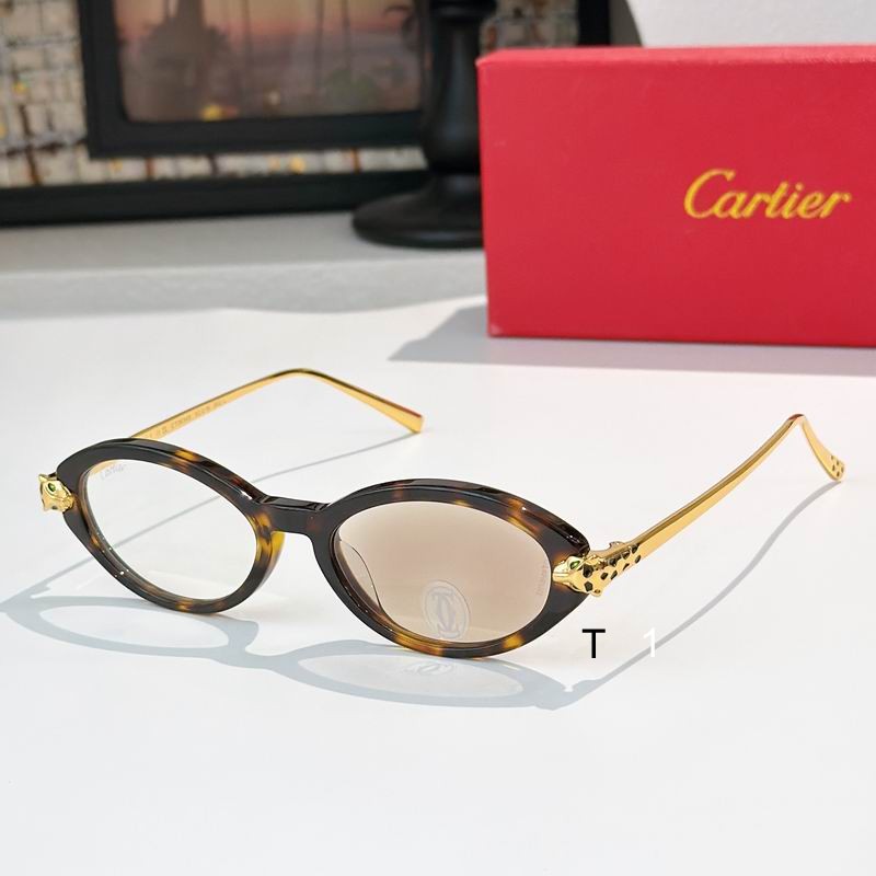 Cartier 0504 A03