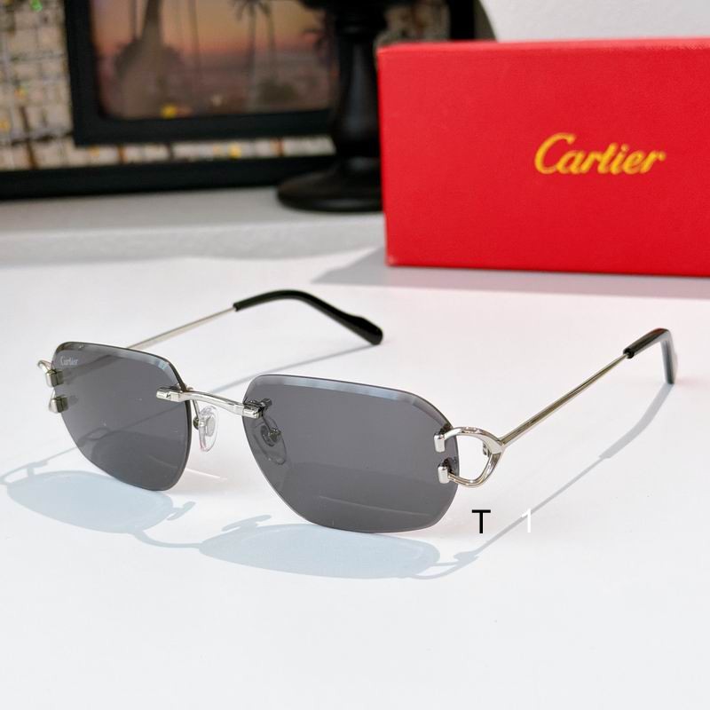 Cartier 0505011 a02