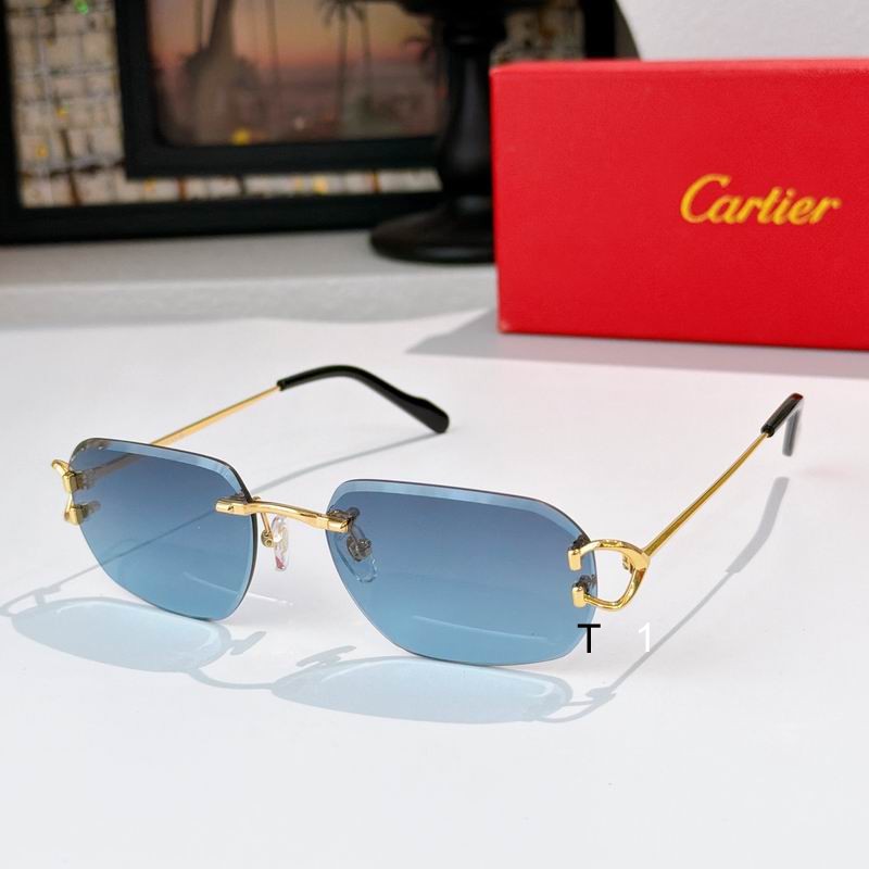 Cartier 0505011 a04