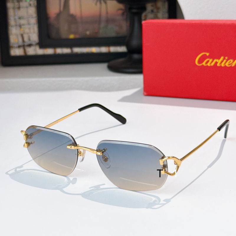 Cartier 0505011 a05