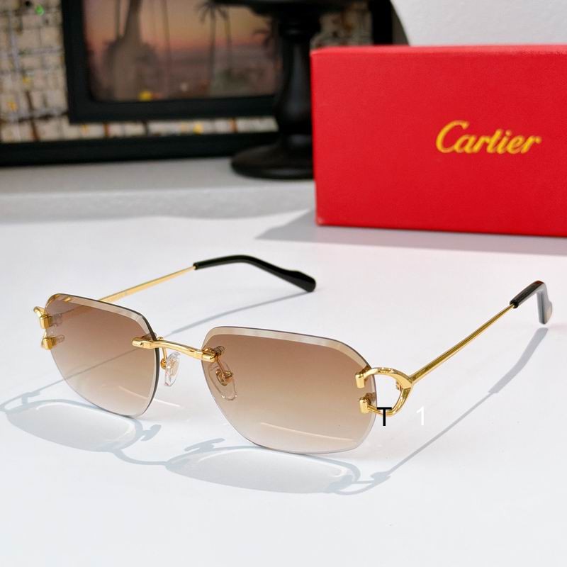 Cartier 0505011 a06