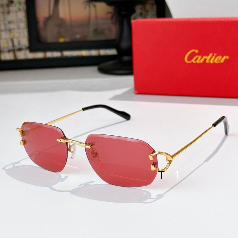 Cartier 0505011 a07