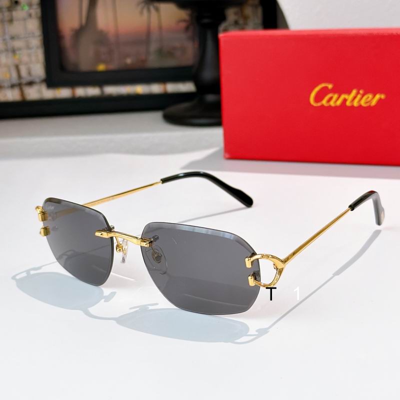 Cartier 0505011 a08