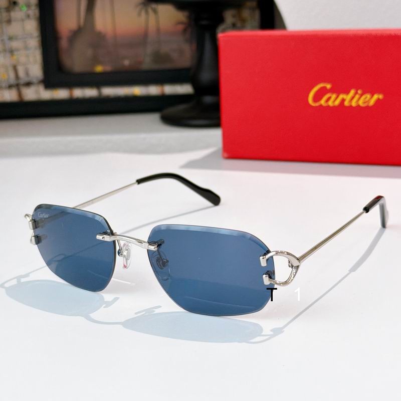 Cartier 0505011 a10