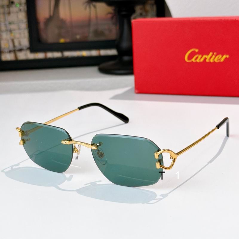 Cartier 0505011 a13