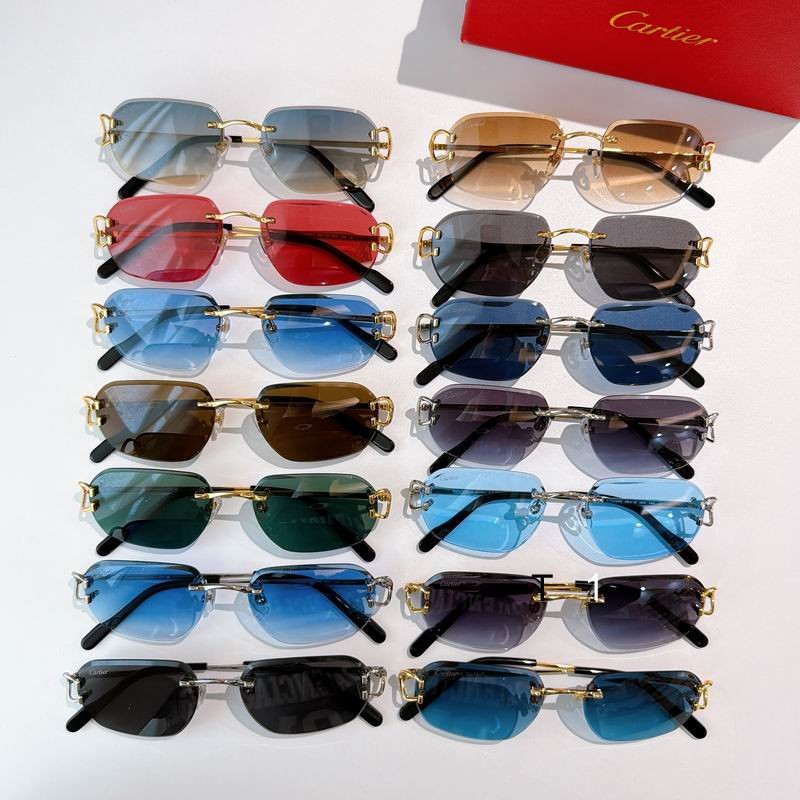 Cartier 0505011 a14