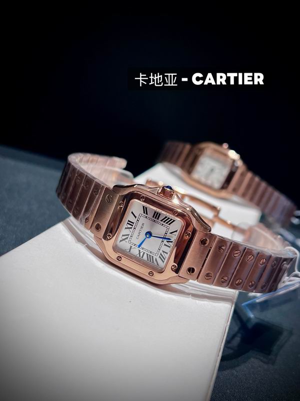 Cartier 27X34.5X7.4mm 73 (4)