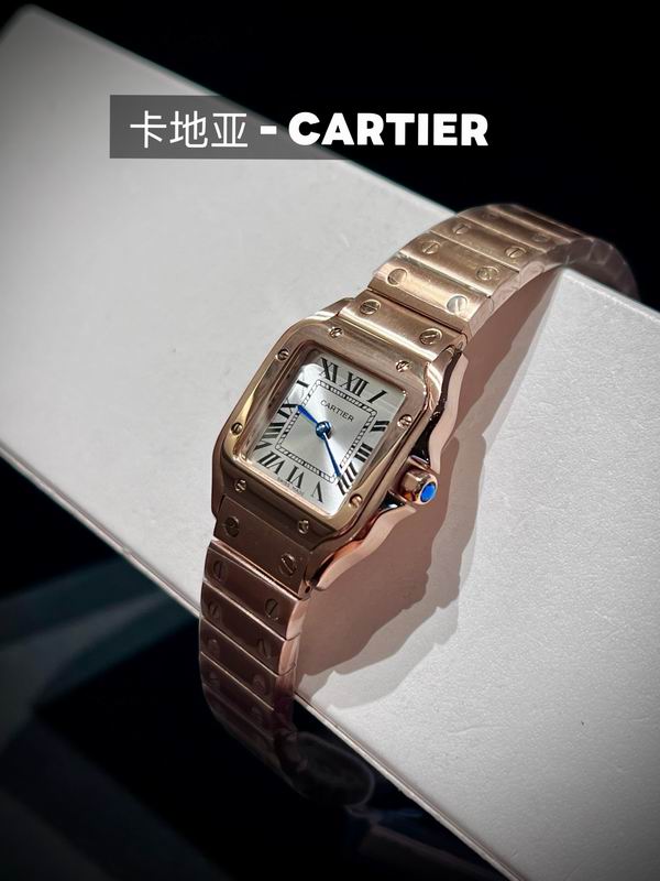 Cartier 27X34.5X7.4mm 73 (6)