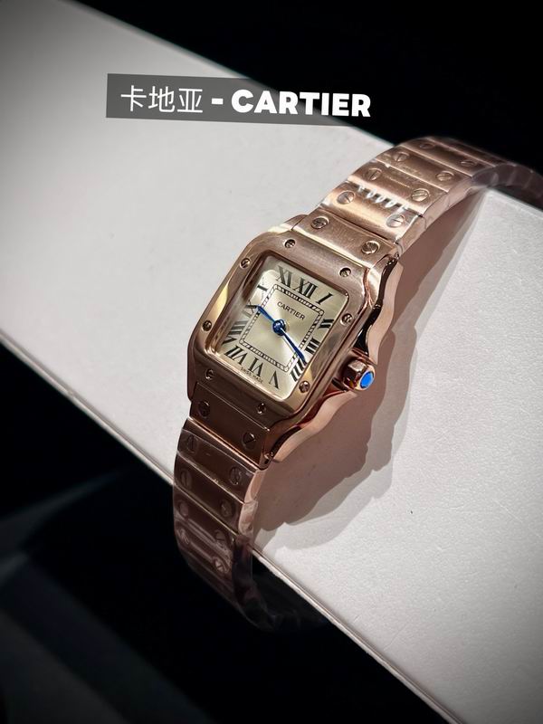 Cartier 27X34.5X7.4mm 73 (8)