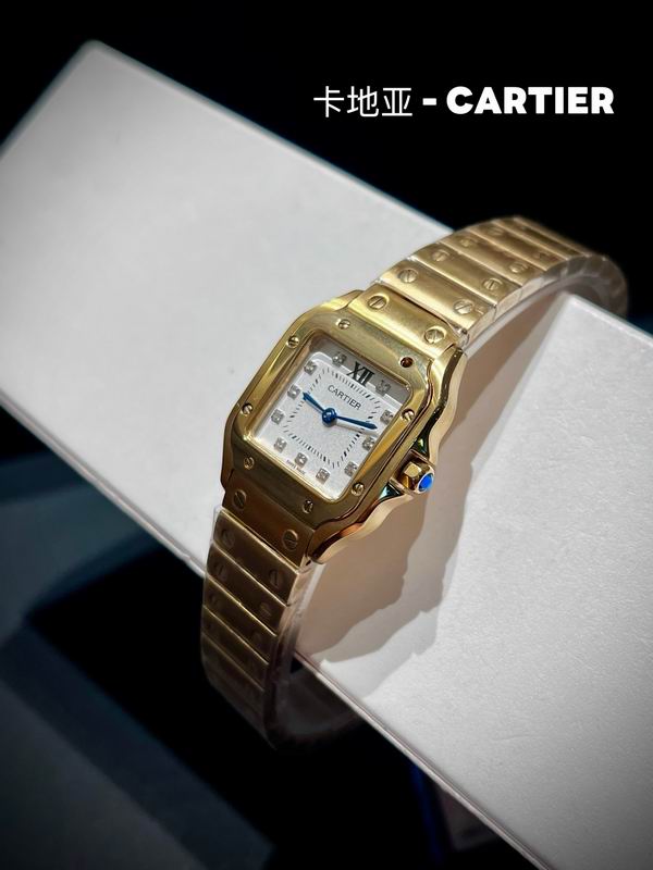 Cartier 27X34.5X7.4mm 74 (4)