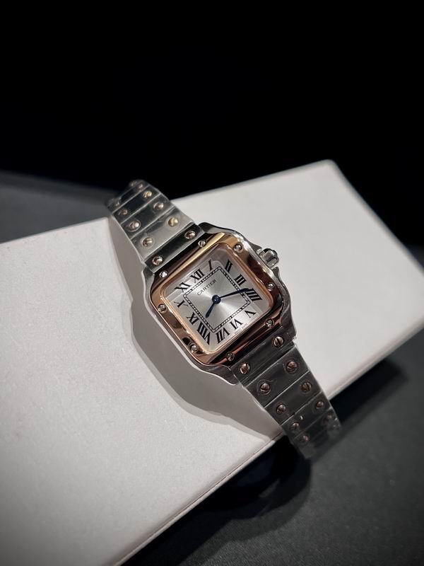Cartier 27mm 84 (14)