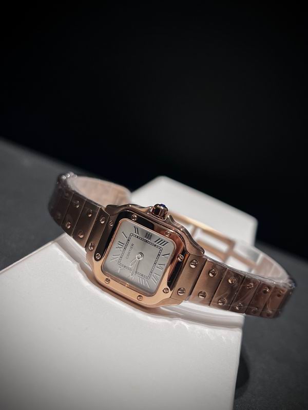 Cartier 27mm 84 (30)