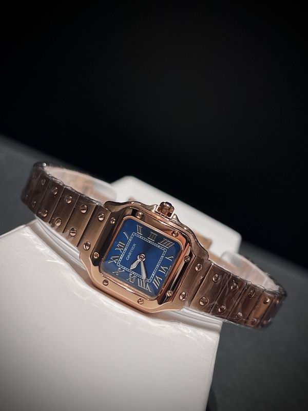 Cartier 27mm 84 (32)