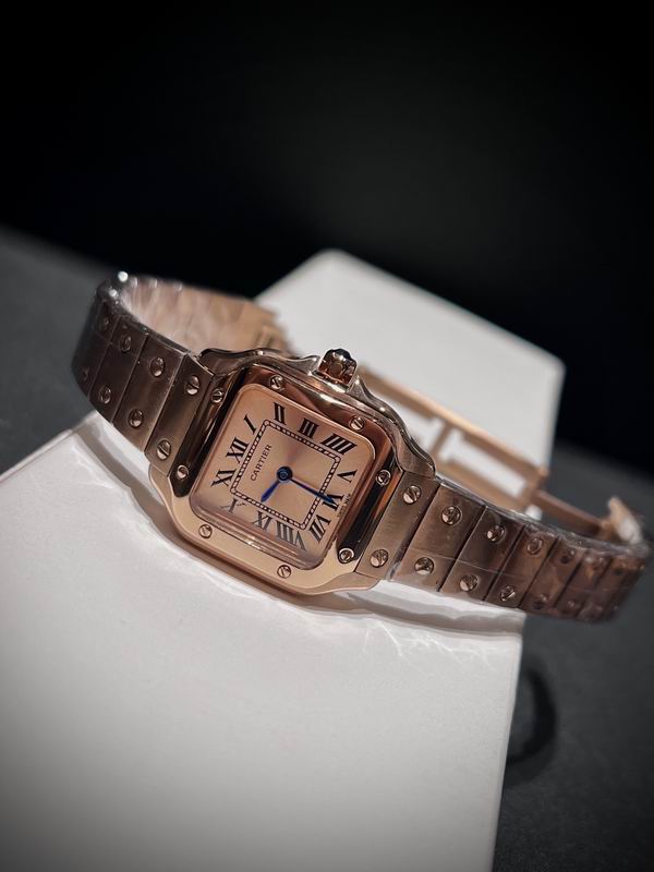 Cartier 27mm 84 (35)