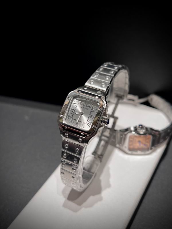 Cartier 27mm 84 (42)