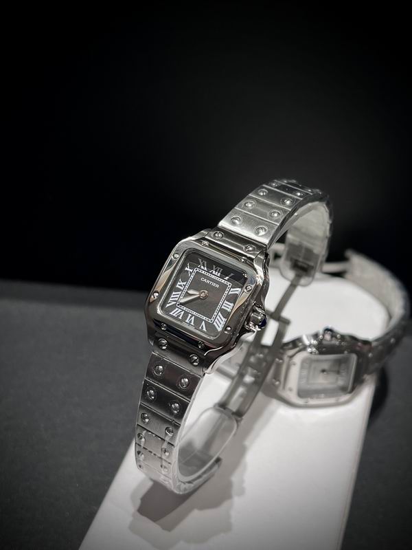 Cartier 27mm 84 (44)