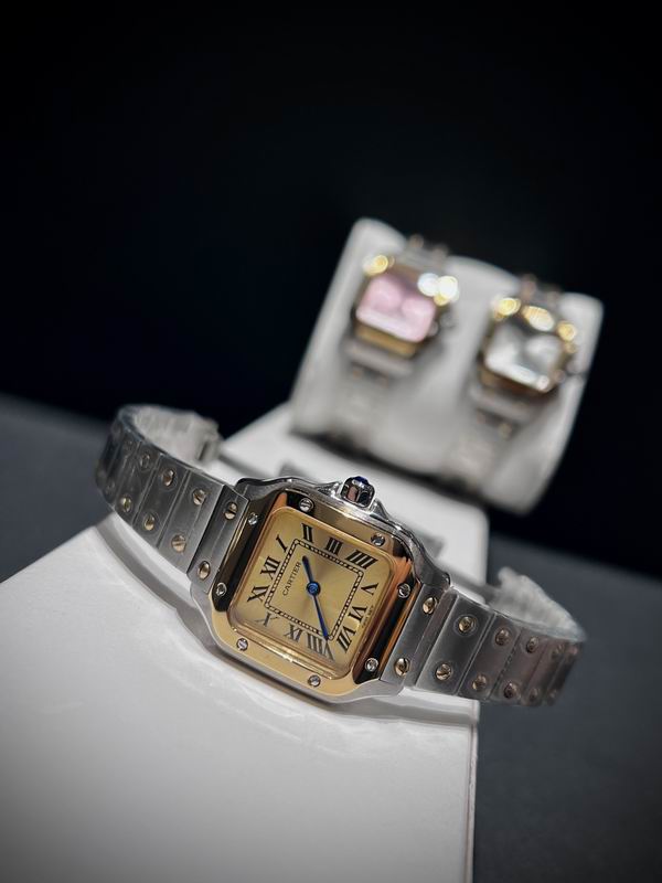 Cartier 27mm 84 (7)