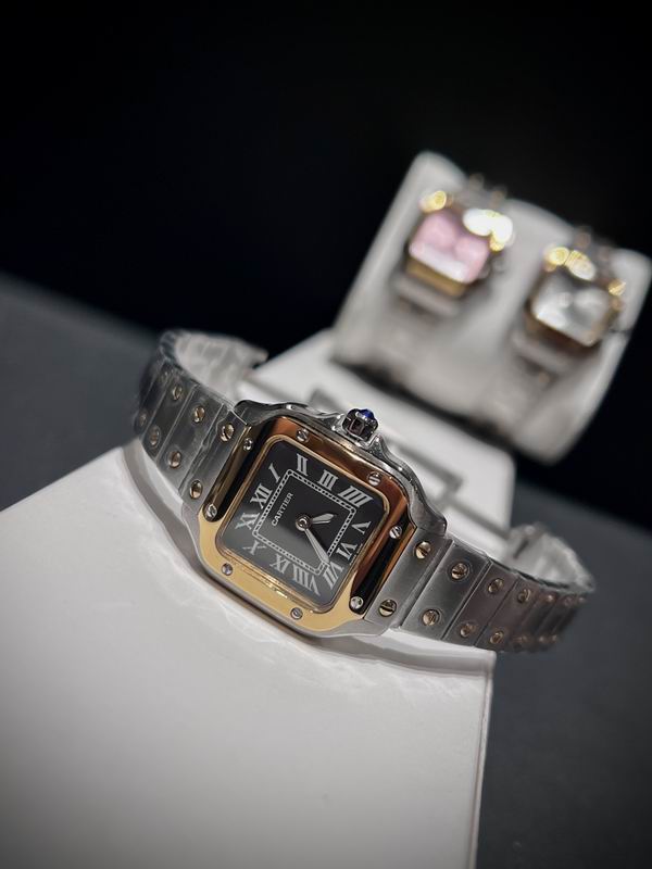 Cartier 27mm 84 (8)