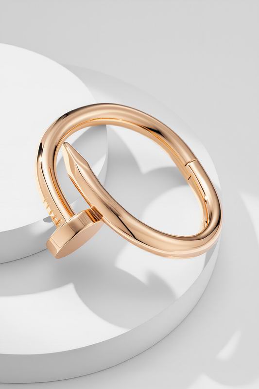 Cartier Bracelet 02yxs04 (3)
