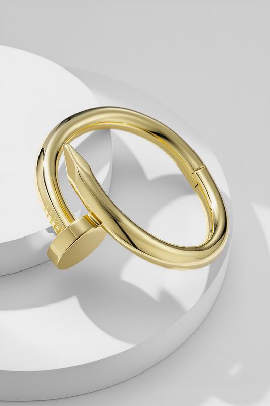 Cartier Bracelet 02yxs04 (7)