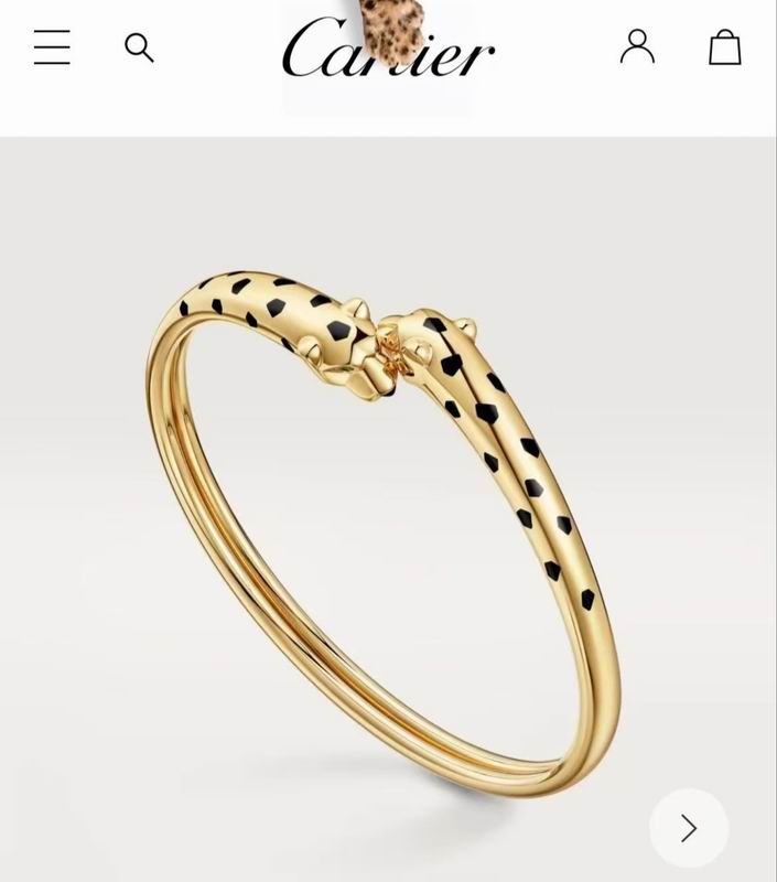 Cartier Bracelet 02yxs09 (10)
