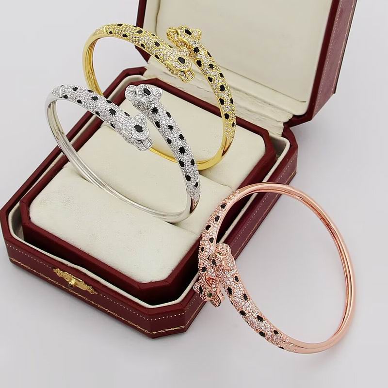 Cartier Bracelet 02yxs09 (21)
