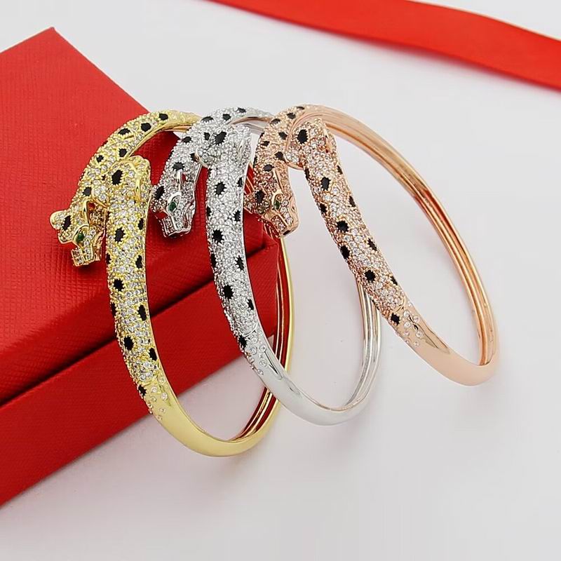Cartier Bracelet 02yxs09 (22)