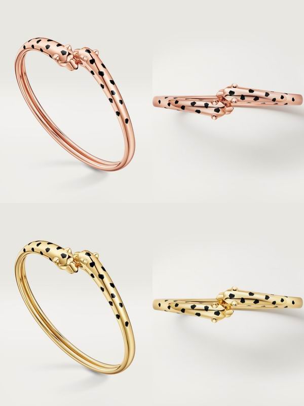 Cartier Bracelet 02yxs09 (28)