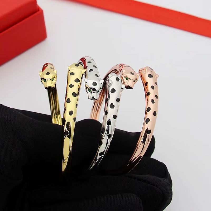 Cartier Bracelet 02yxs09 (3)