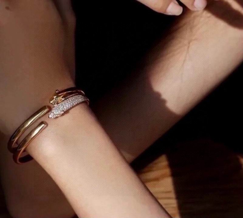 Cartier Bracelet 03yxs23 (3)