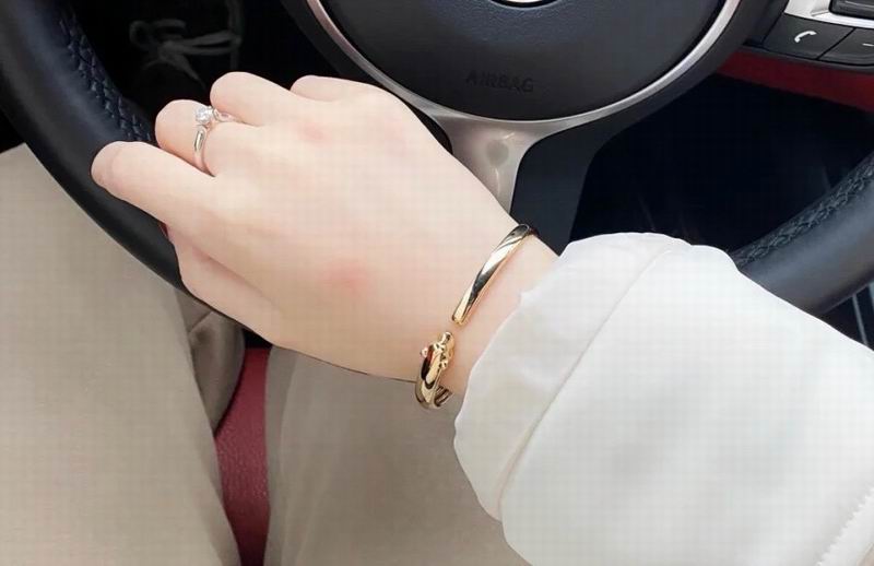 Cartier Bracelet 03yxs23 (9)
