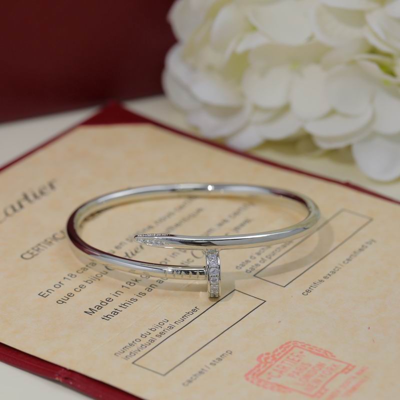 Cartier Bracelet 03yxs24 (4)
