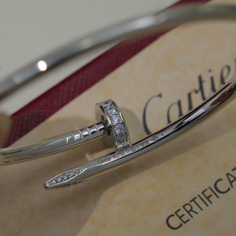Cartier Bracelet 03yxs24 (6)