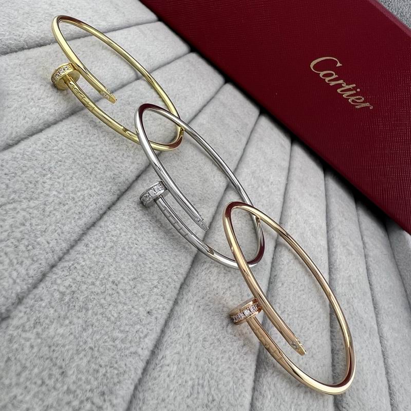 Cartier Bracelet 05yxs01 (3)