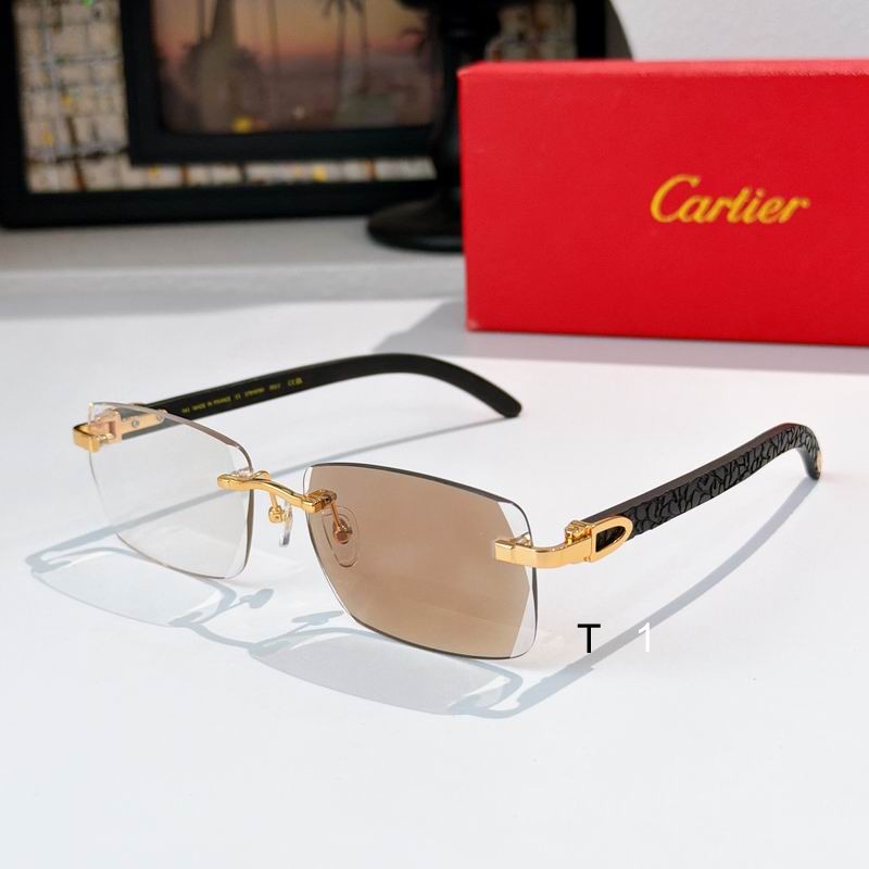 Cartier CT01675O 143 s01